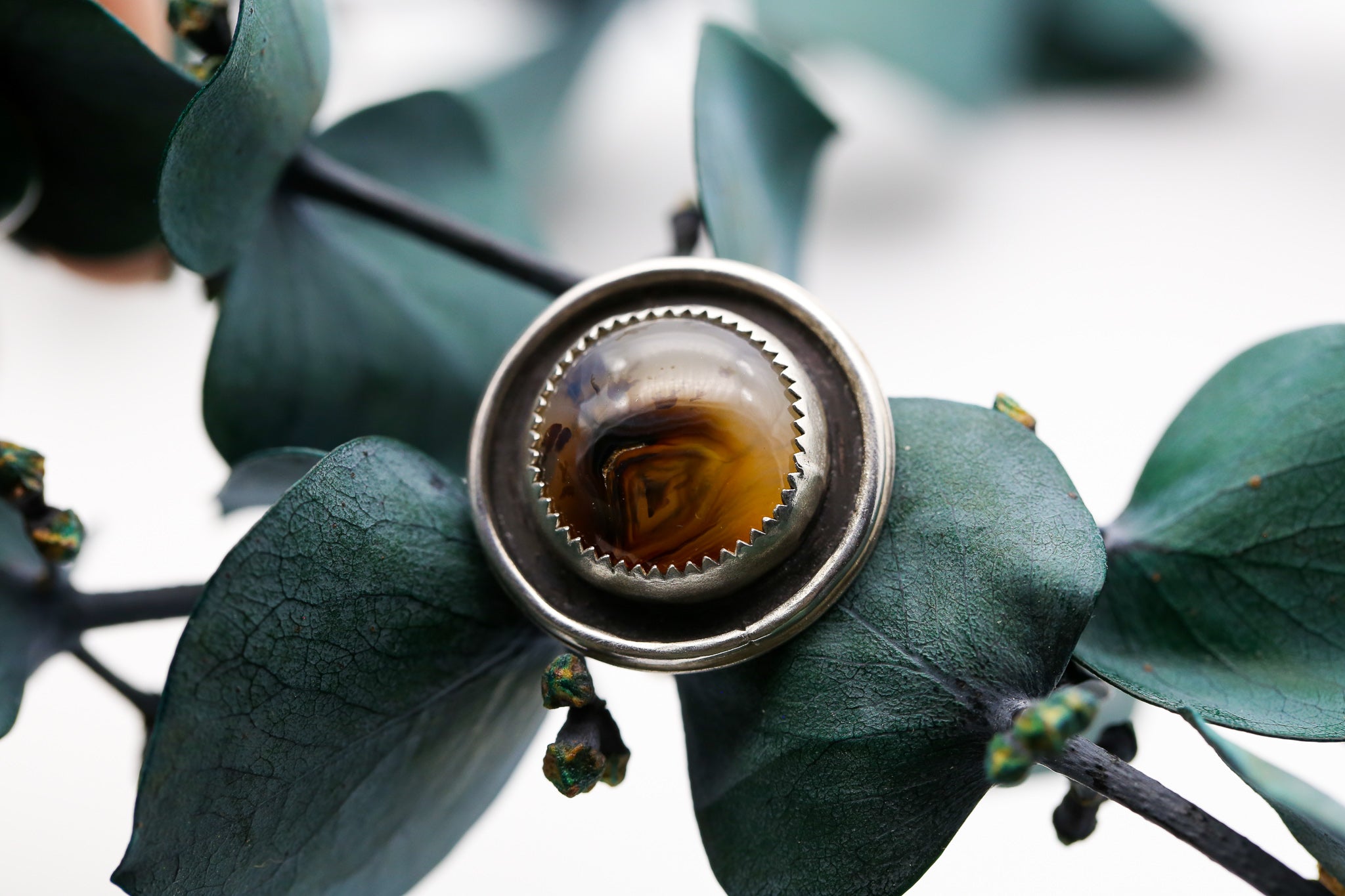 Dendrite Agate Shadowbox Ring