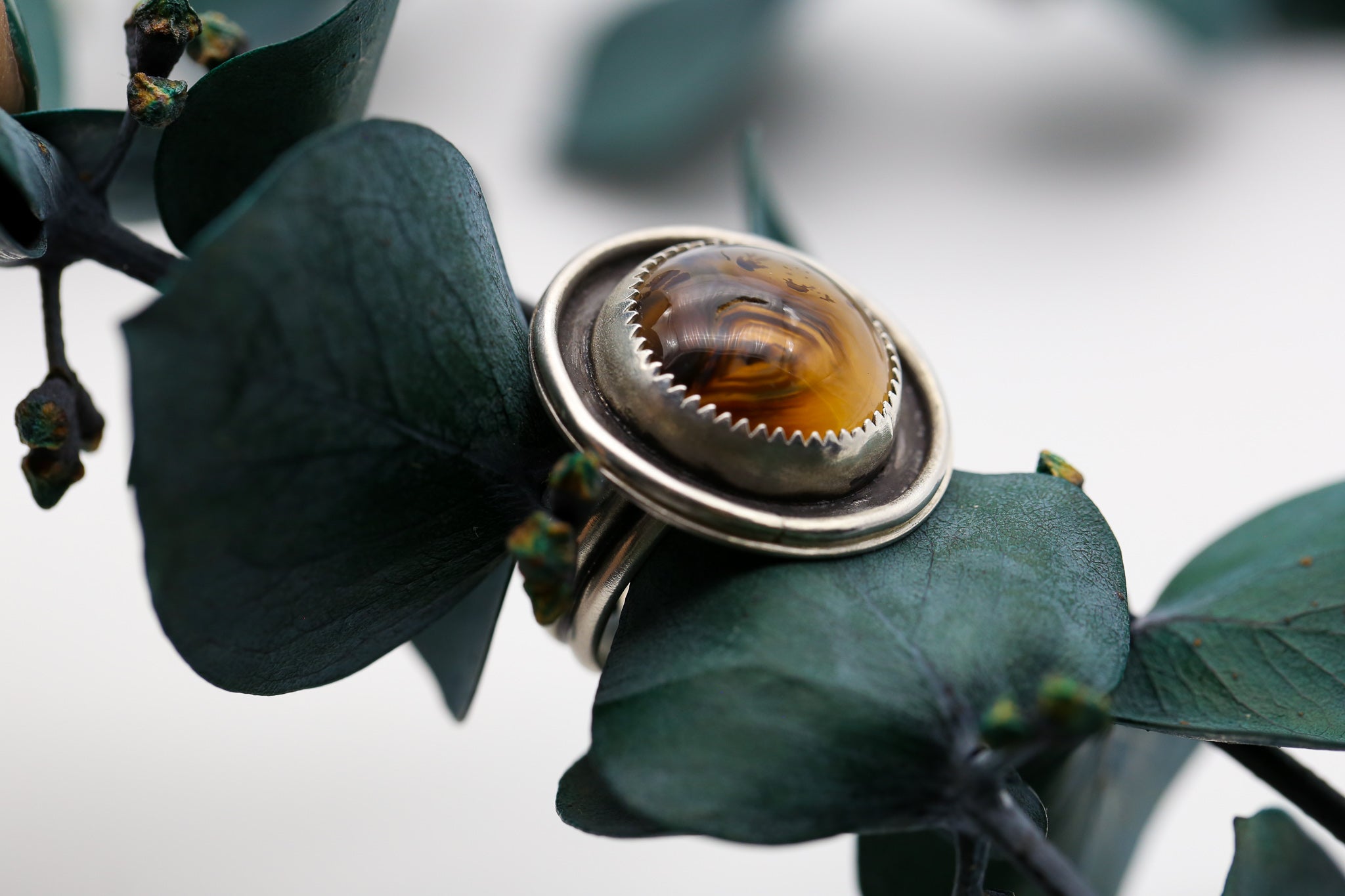 Dendrite Agate Shadowbox Ring